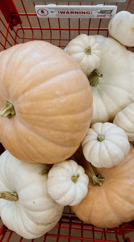 Fall 2025 Home Décor Trends: Cozy, Crafted & Curious