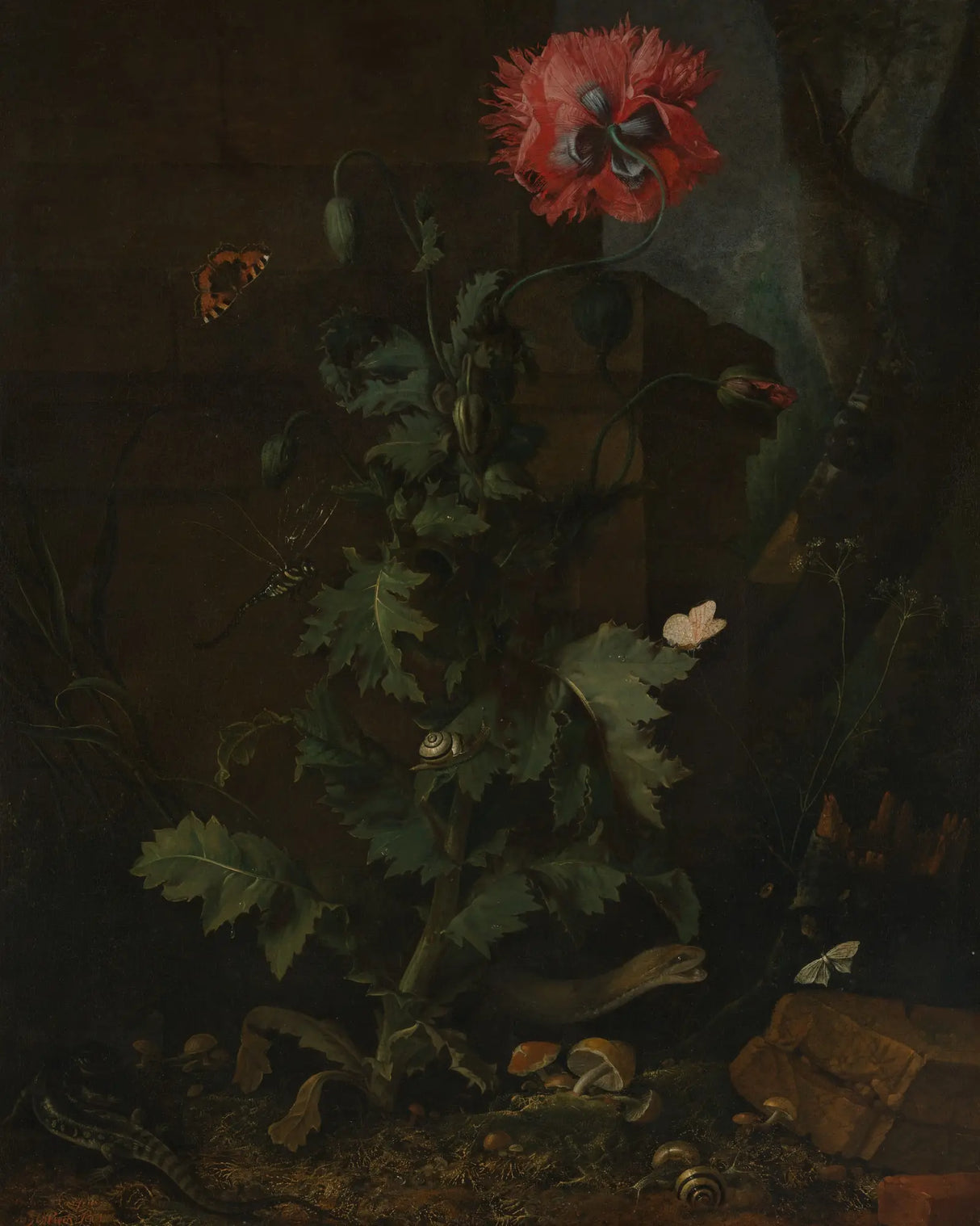 small garden ecosystem with a weed in the middle with a blooming red flower