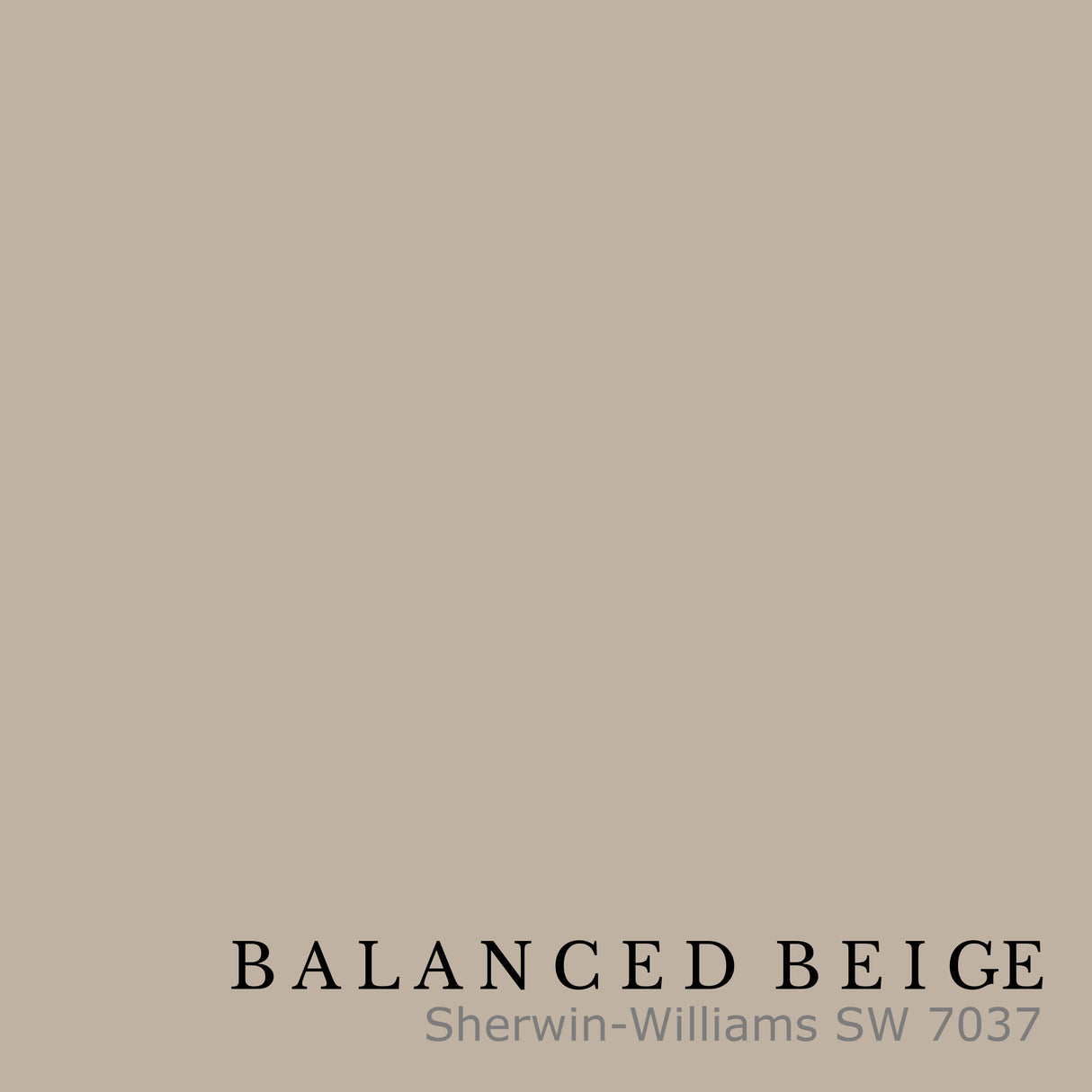 Painted Floating Shelves - Balanced Beige - Ultra Shelf