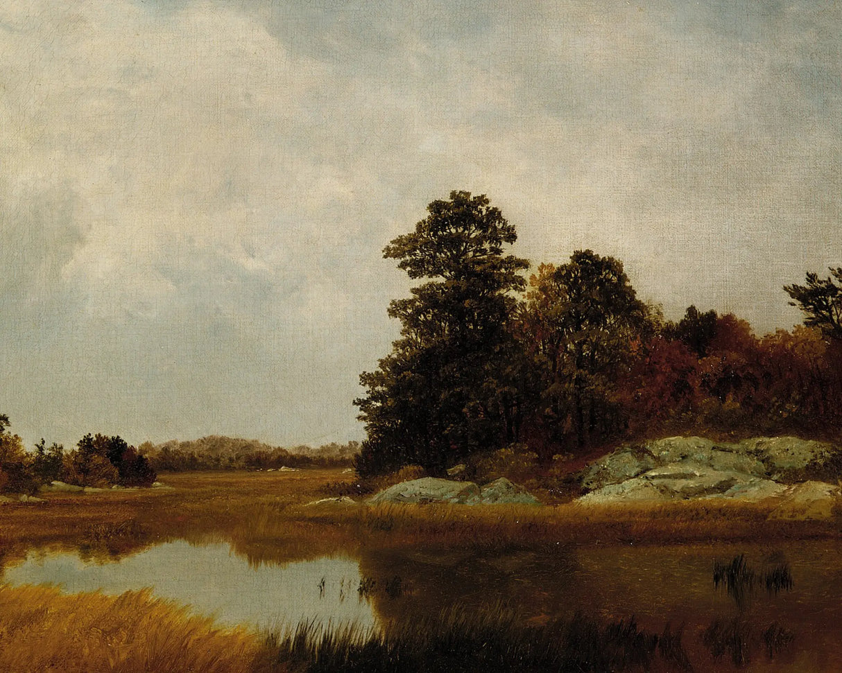 trees overlooking a river