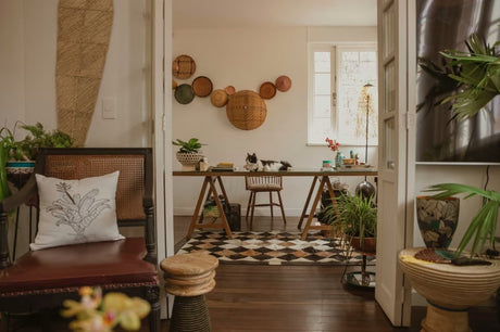 Various houseplants in a bright and wood toned room