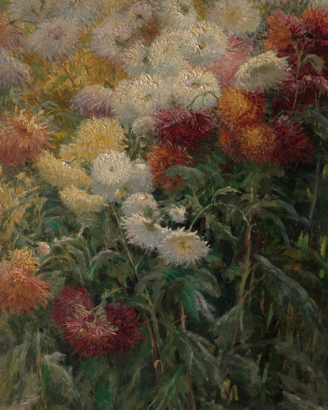 Red, white, yellow, and purple flowers blooming in a small area