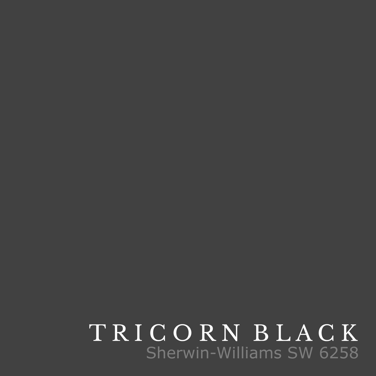 Painted Floating Shelves - Tricorn Black - Ultra Shelf