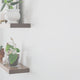 Minimalist Walnut Floating Shelf with Natural Finish